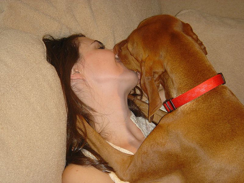 Couple arrested for bestiality after husband uploaded video from his phone of their pet boxer performing a sex act on his wife