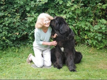75 years old lady trained her dog to do ALL the household tasks