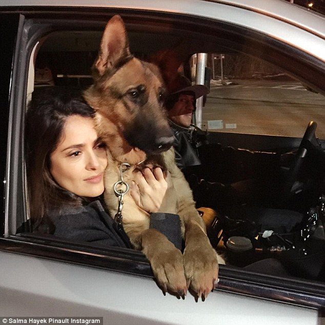  Salma Hayeks dog shot with a gun and found dead on her Washington ranch