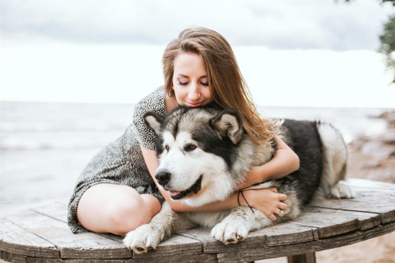 Study Finds Dogs’ Heart Rates Jump When You Say I Love You To Them
