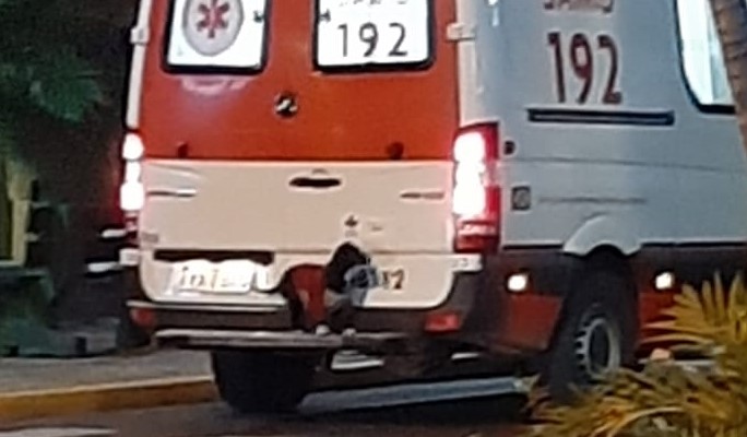 Loyal Dog Jumps On Ambulance To Follow Owner To The Hospital