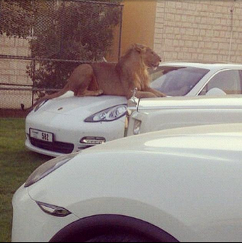 19 Things That Probably Only Happen in Dubai