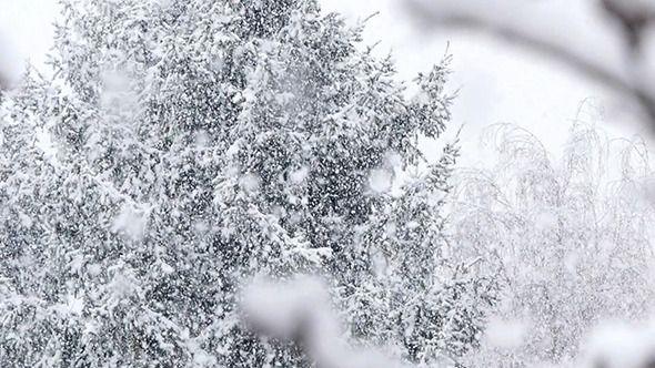 In Video: Heavy snow falling In beirut