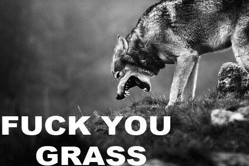 23 Photos That Are Basically You On Your Period