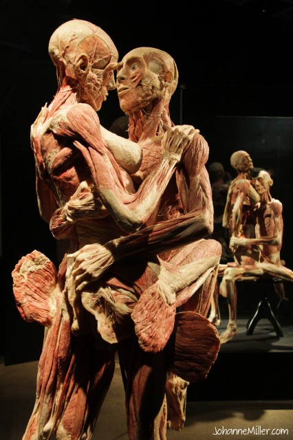 Obssessed with Death: German Anatomist Dubbed Doctor Death Opens a Corpse Museum