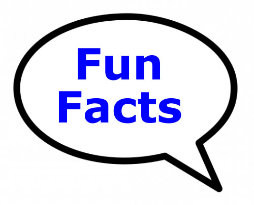 50 Shocking Facts That Happen Every 5 Seconds