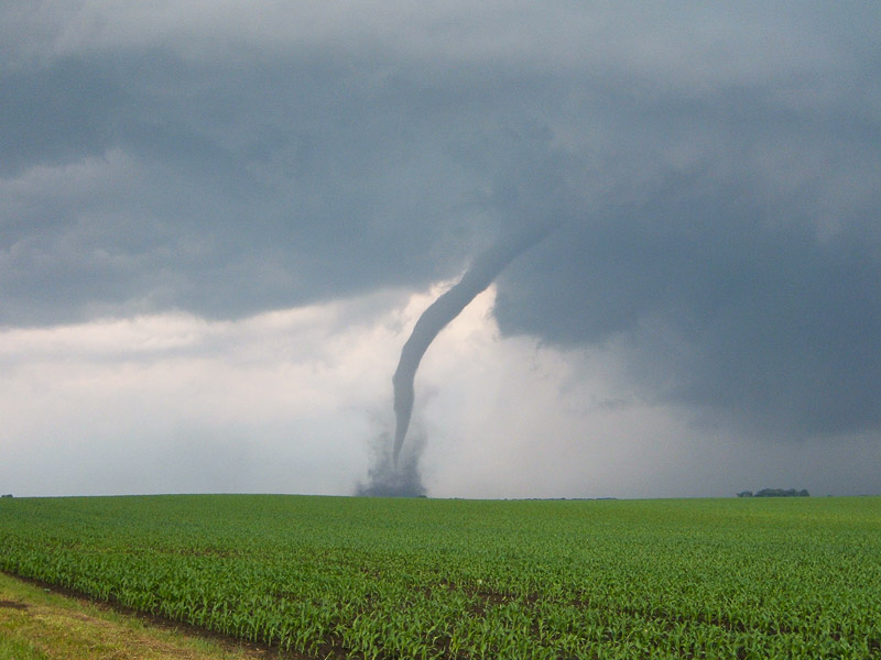 In Video: Tornado Turns Out To Be Towering Swarm Of Mosquitos