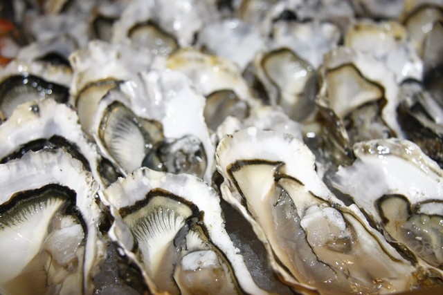 Fisherman’s Catch Night at Gefinor Rotana