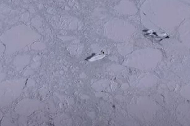 In Video: Google Earth Users Discover 400ft 'Ice Ship' In Antarctica