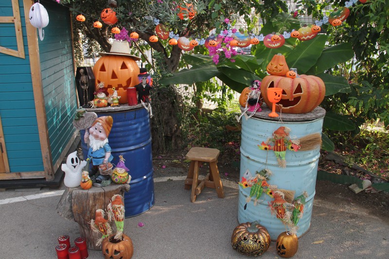 Halloween 2020: History significance and celebrations around the world