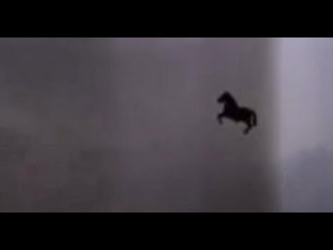 Flying Horse Seen In Thunderstorm In Makkah