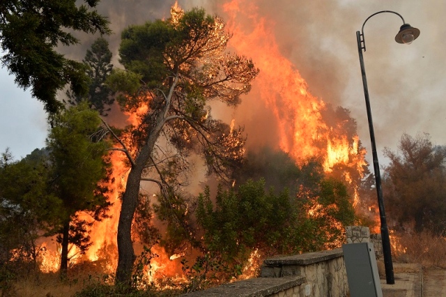 In Video: Massive forest fires erupt across Lebanon