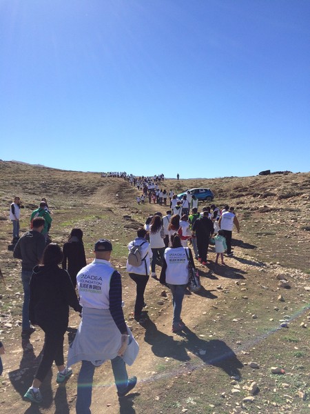 Azadea Foundation Plants 6,000 Trees  at its 3rd Plantation Day