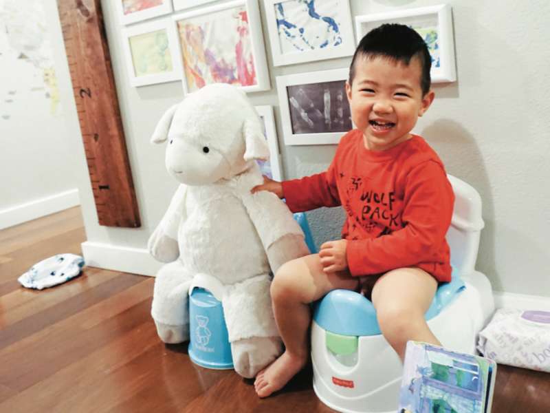 Essential Potty Training Tips