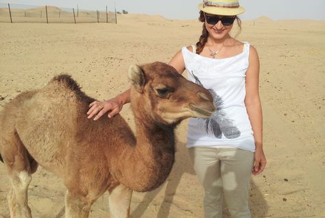  Australian woman arrested and deported from the UAE after her Facebook