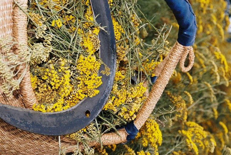 L Oocitane Neroli & Orchidee The new fragrance from La Collection de Grasse
