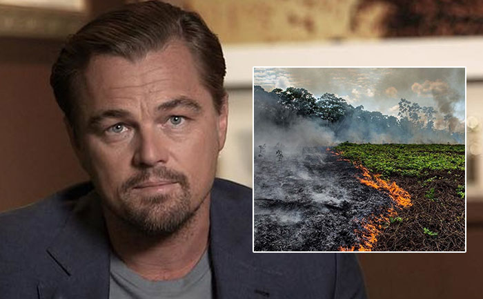Leonardo DiCaprio pledges $5m to help save the Amazon