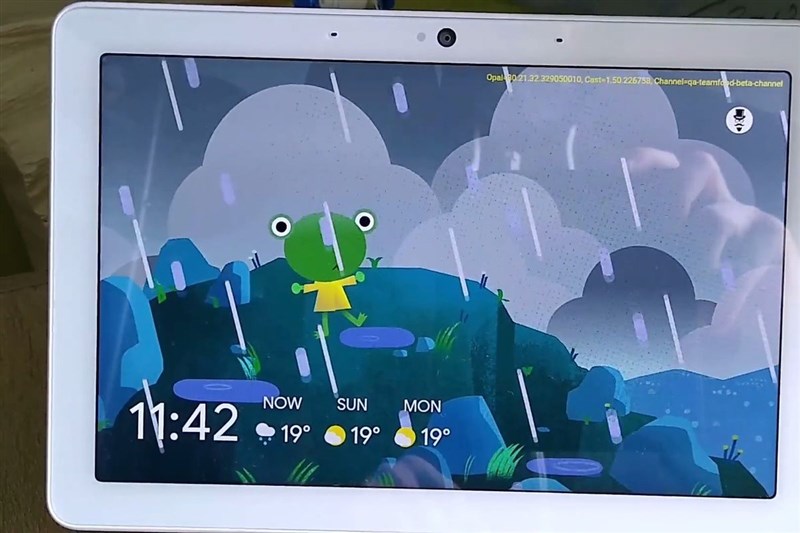 In Video: Google weather frog A new background animation spotted on smart displays