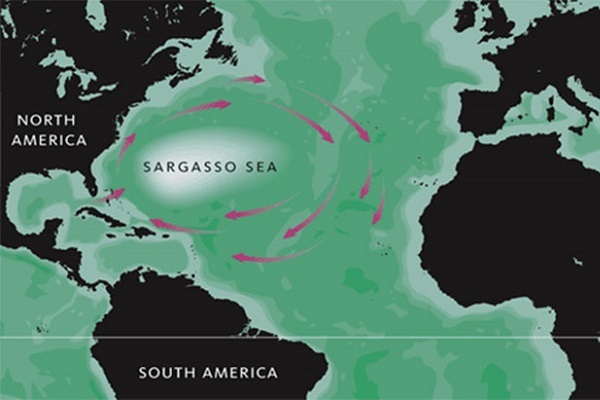 Mysterious Facts About the Bermuda Triangle