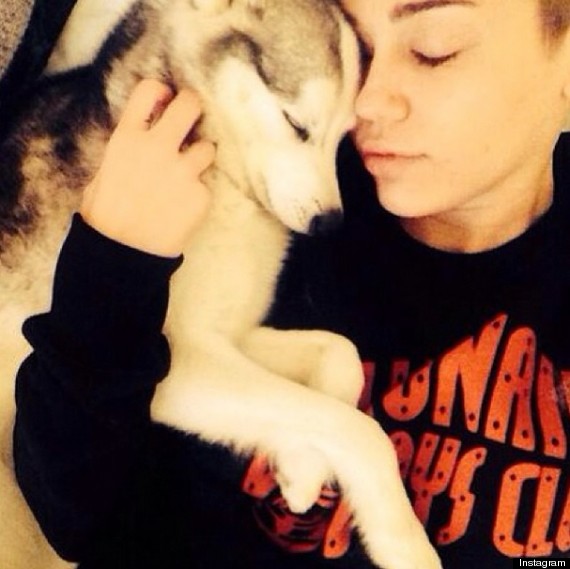 Miley Cyrus Breaks Down In Tears On Stage Over Dead Dog