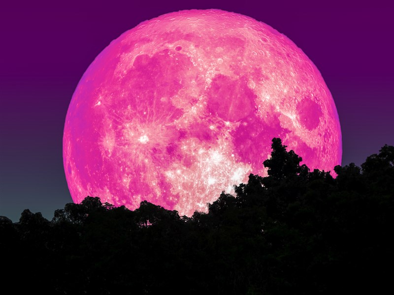 Rare Pink Supermoon Set To Light Up The Sky On Tuesday
