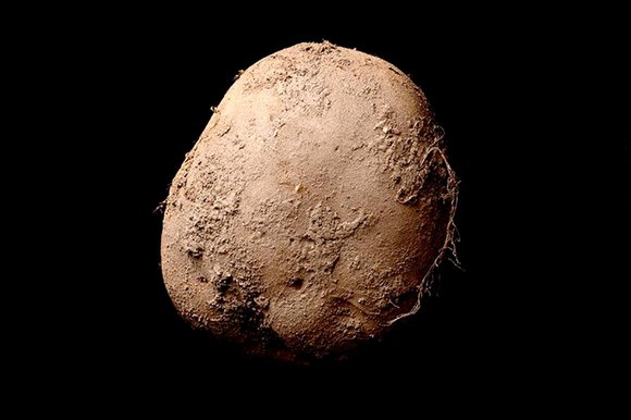 Photographer sells picture of a POTATO for a million euros