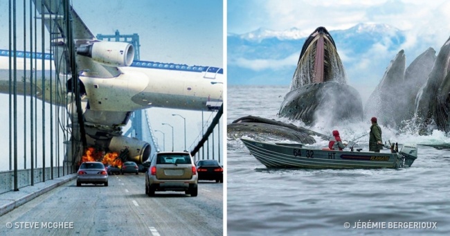 The Most Perfectly Timed Photos You Will Ever See