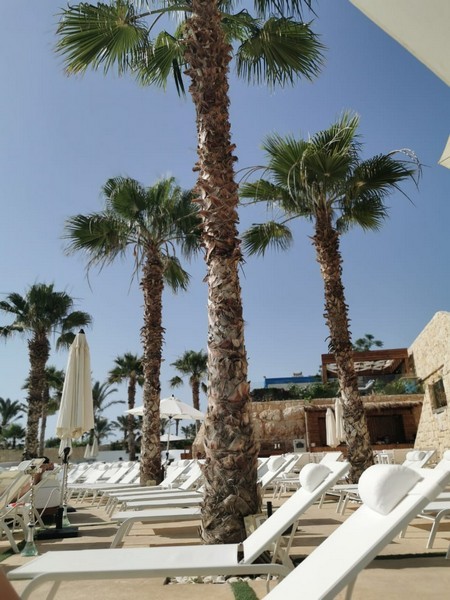 Sunsets, Seafood, and Summer Relaxation at Del Mare Resort
