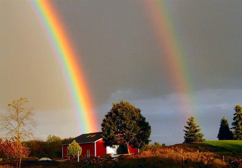 In Video: Excited Family Scream With Delight As They 'Drive Through The End Of Rainbow'