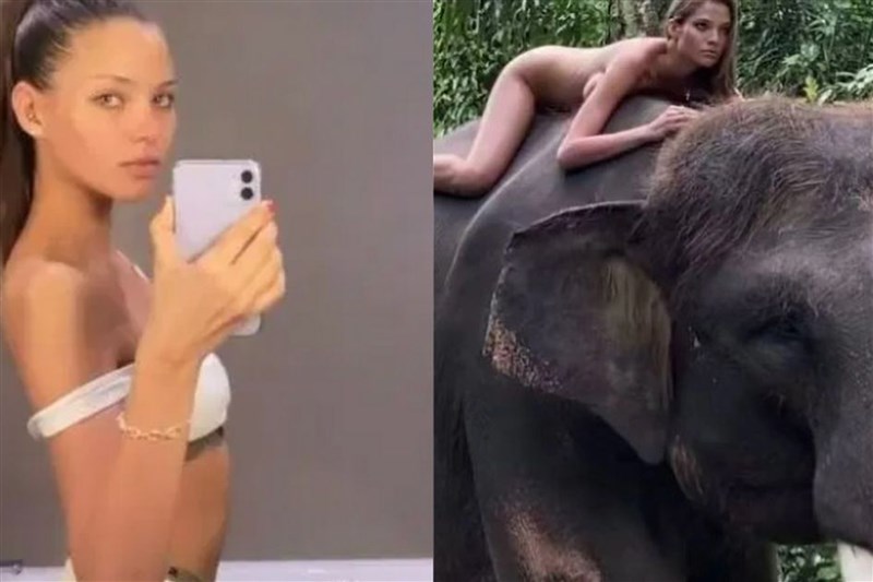 In video: Influencer Defends Posing Naked On Endangered Elephant For Instagram Photos