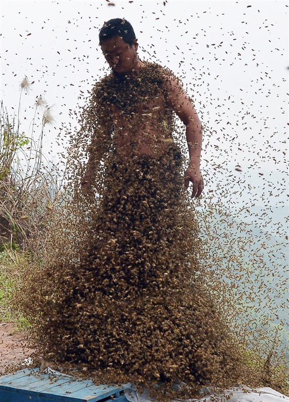 Chinese Man Covers His Entire Body in Bees