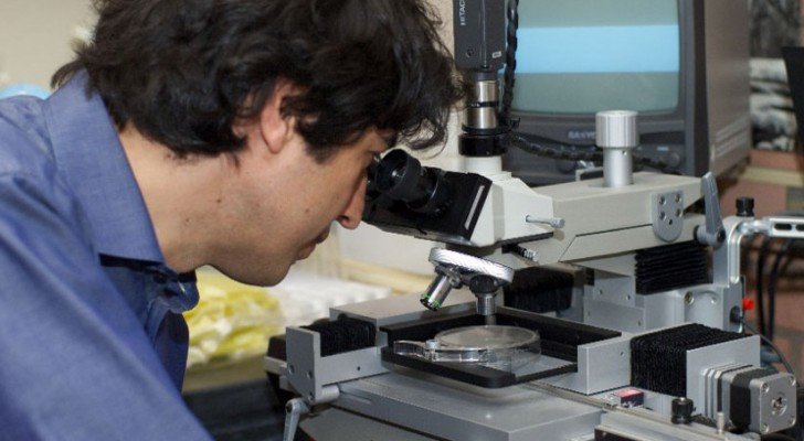 Scientists Discover That Fasting Triggers Stem Cell Regeneration & Fights Cancer