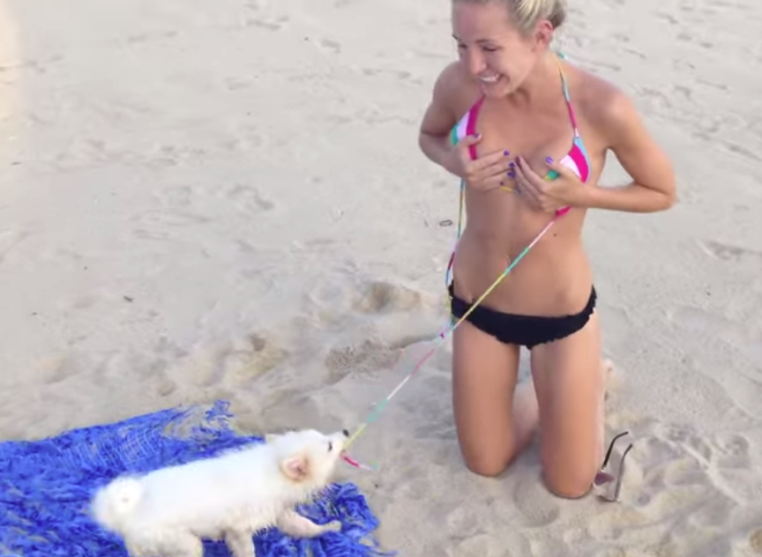 Dog pulls down womans bikini top in hilarious video