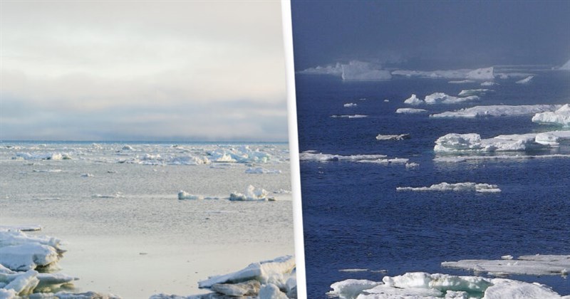 Arctic Sea Ice Falls To Second-Lowest Level Ever After Year Of Heatwaves