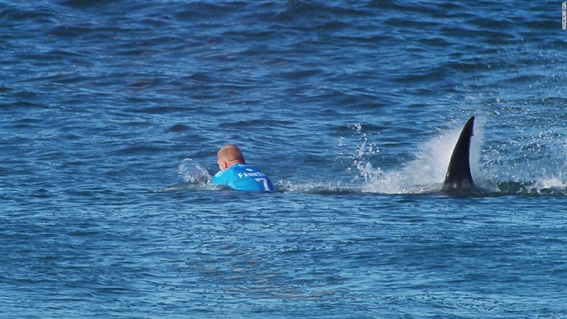 In Video: professional surfer in had a narrow escape after a greatwhite shark came within inches of him