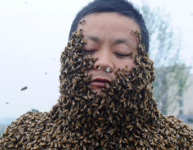 Chinese Man Covers His Entire Body in Bees