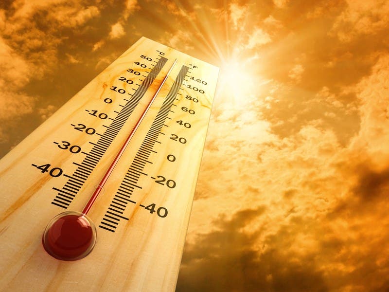 In Video: Property Expert Shares Ways To Cool House Down During Heatwave