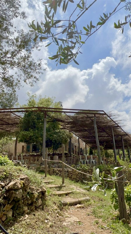 Little Reed Reopens to Offer Authentic Village-Like Experience in Mount Lebanon