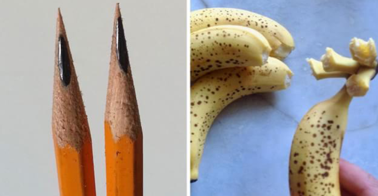 21 Photos That’ll Ruin Your Whole Goddamned Day