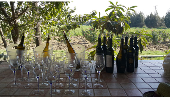 Domaine Wardy 