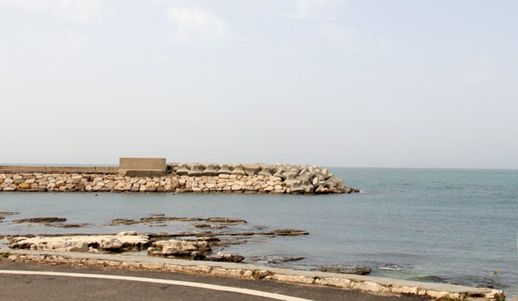 Le Petit Port