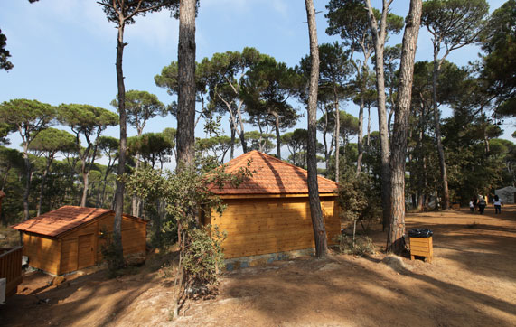 La Maison De La Foret