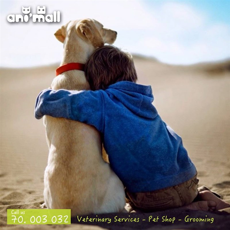 AniMall Lebanon