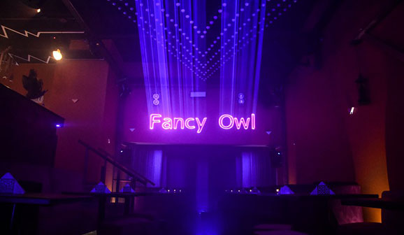 Fancy Owl