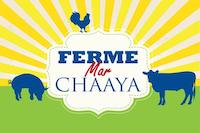 Ferme Mar Chaaya