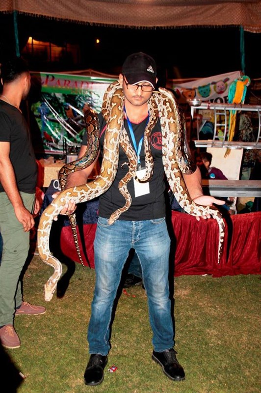 Family Fun Festival