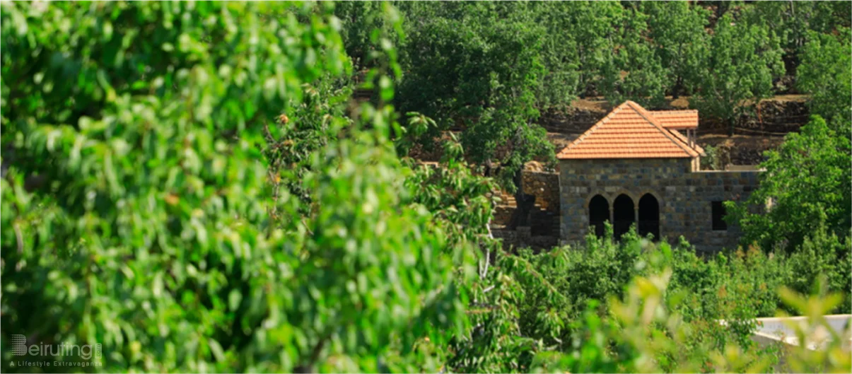 The Resting Mill: A Serene Escape in the Heart of Bekaa Kafra