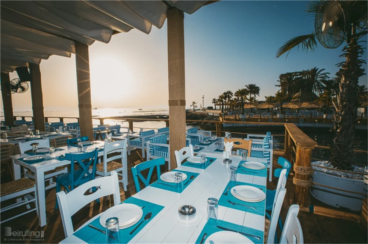 Michelin-worthy seafood without the hefty price tag...Welcome to Ibn AlBahr