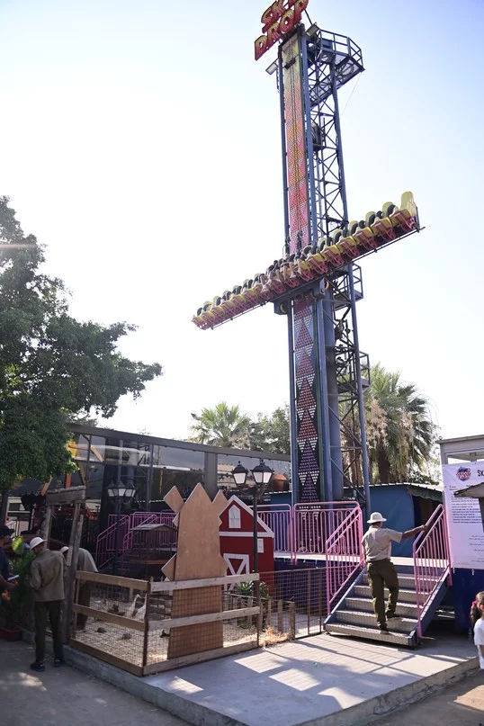 Dream Park Jungle Edition