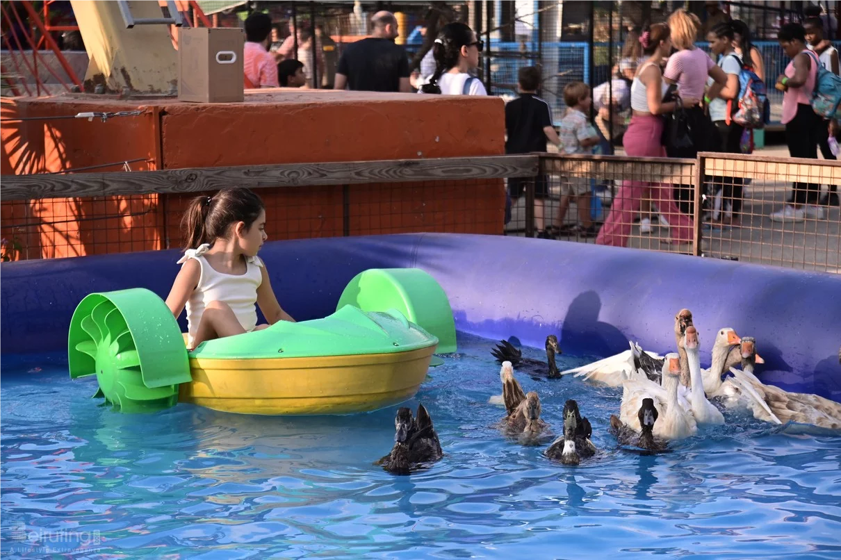 Dream Park Jungle Edition